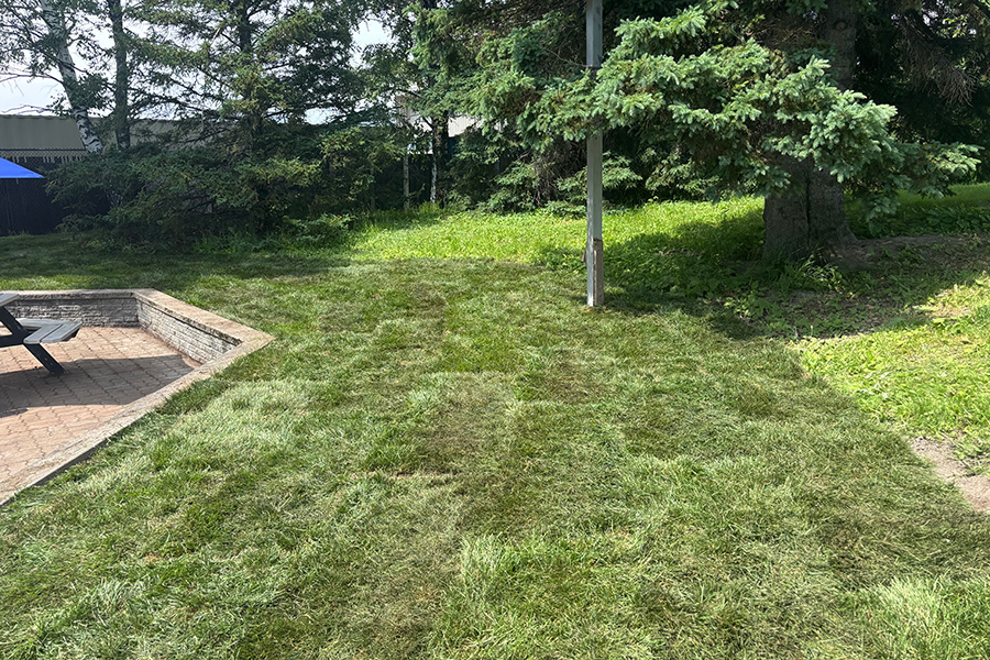 Réalisation de Coupe Herbe Plus