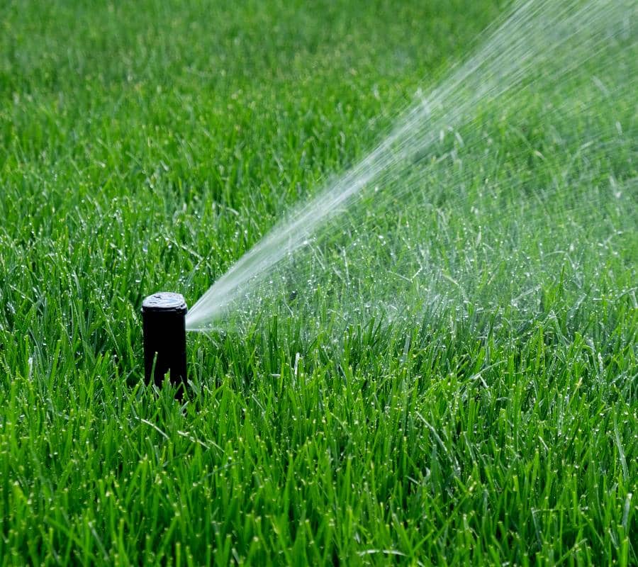 Système d’irrigation Jonquière